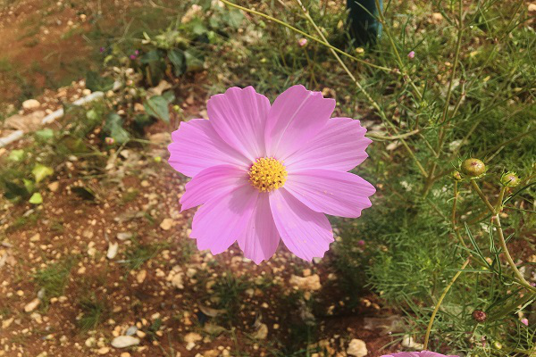 1614497752767000.png 圖片 5.png