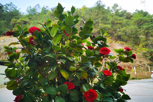 1646009598706491.png 圖片2.png