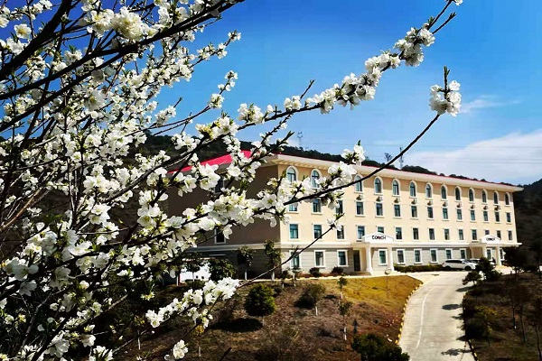 1646009607411403.png 圖片4.png