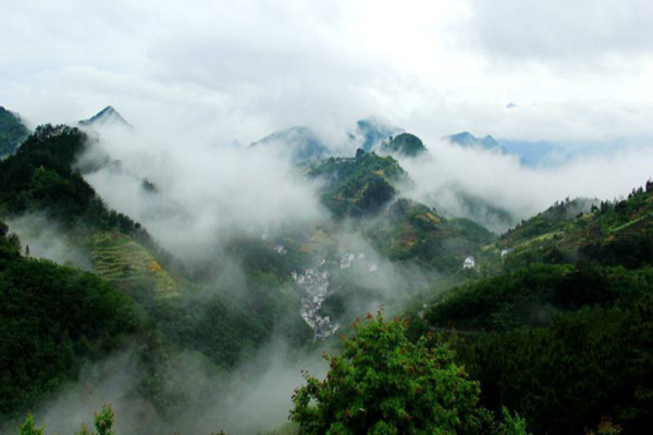 1728618904196600.png 圖片2 - 副本.png